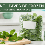 Can Mint Leaves Be Frozen