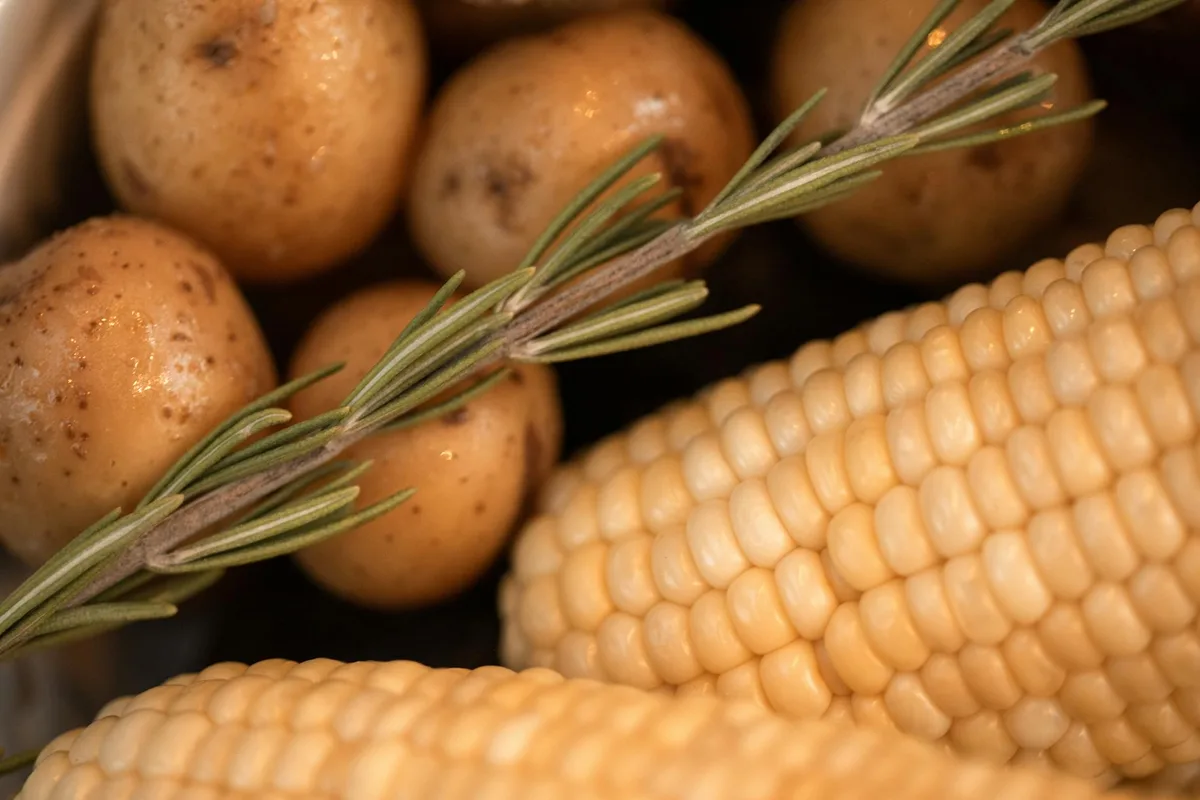 how to make corn and potato chowder in a crock pot