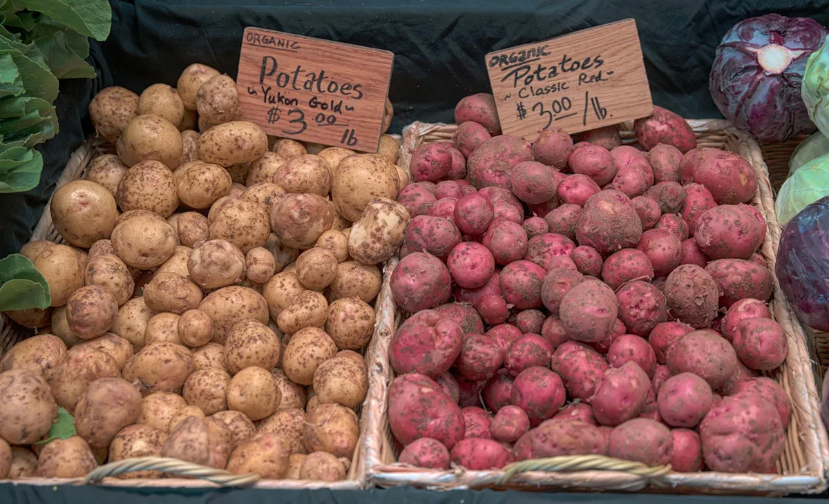 potatoes starchy vs waxy