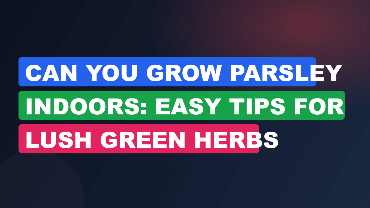 Can You Grow Parsley Indoors: Easy Tips for Lush Green Herbs